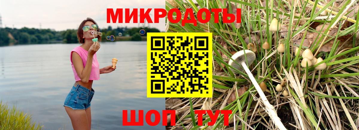 Псилоцибиновые грибы Magic Shrooms  Вход с VPN  купить   Верхняя Пышма 