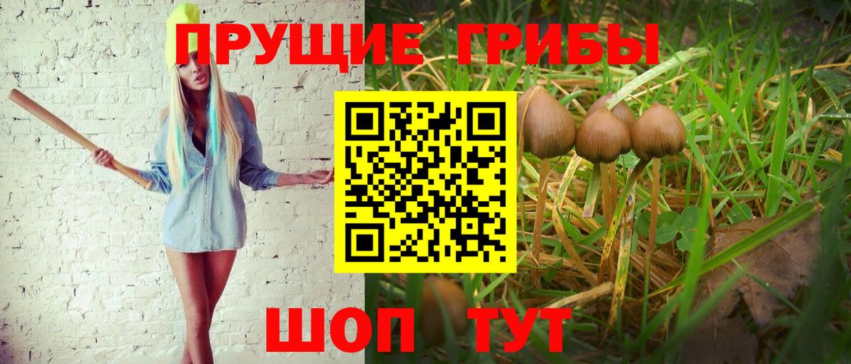 Псилоцибиновые грибы мицелий Верхняя Пышма
